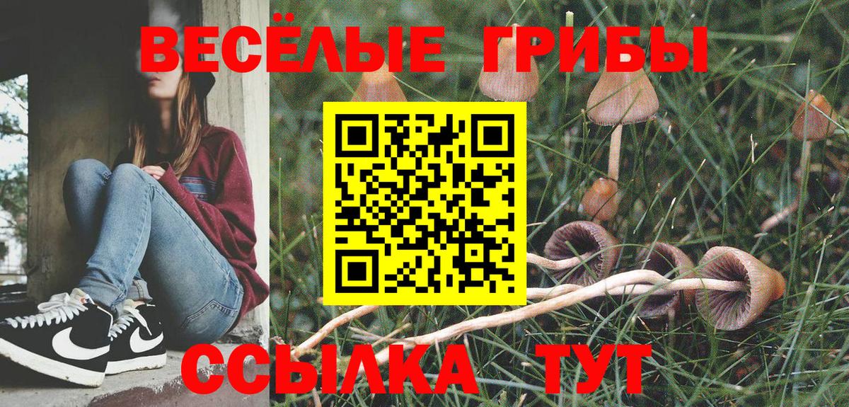 Прокопьевск  Галлюциногенные грибы мицелий  Вход с VPN 
